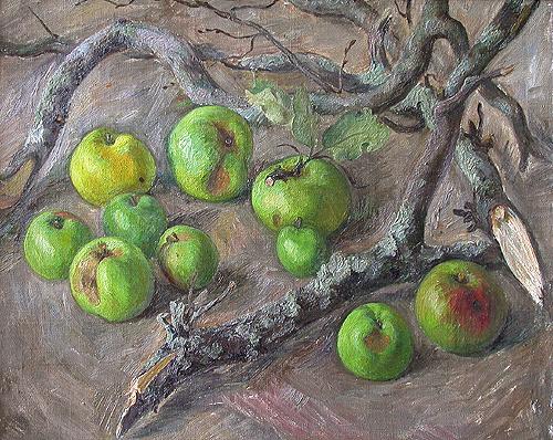 Apples still life - oil painting