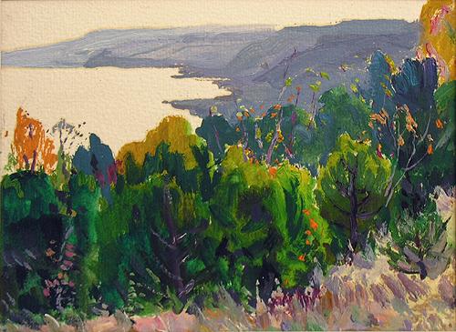 Study summer landscape - oil painting