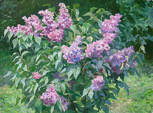 Bush of Lilac flower - oil painting