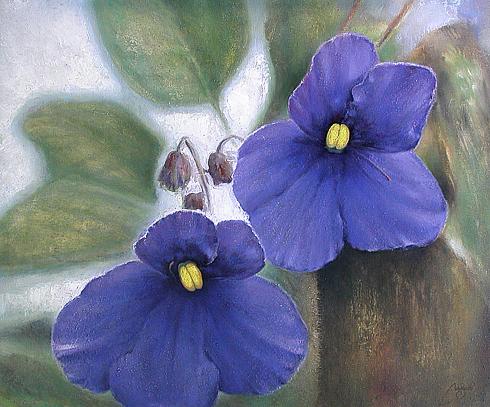 Violets flower - oil painting