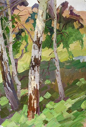 Birches vegetation - oil painting